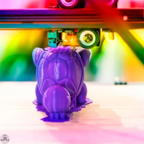 Supports Example Supports Example
